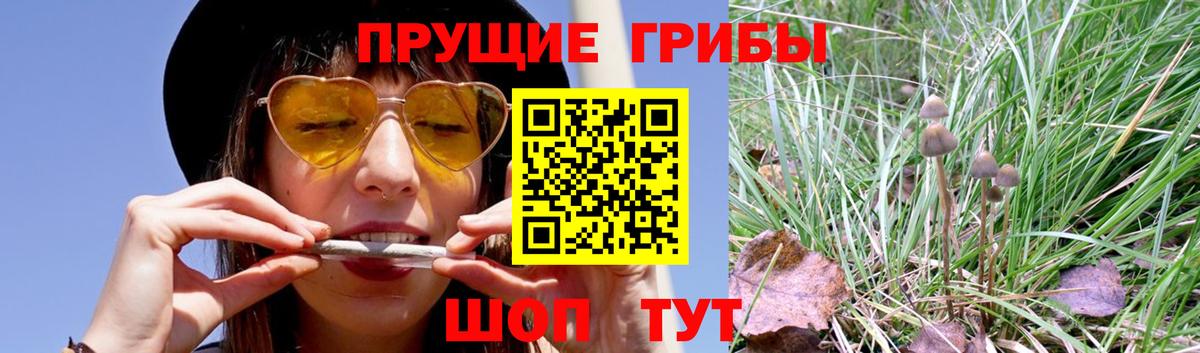 Псилоцибиновые грибы мухоморы Партизанск